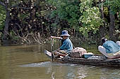Tonle Sap - Kampong Phluk - Flooded mangrove forest